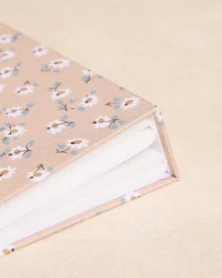 Domicile-Polin et moi Album photo de fleurs de bellaria Moka